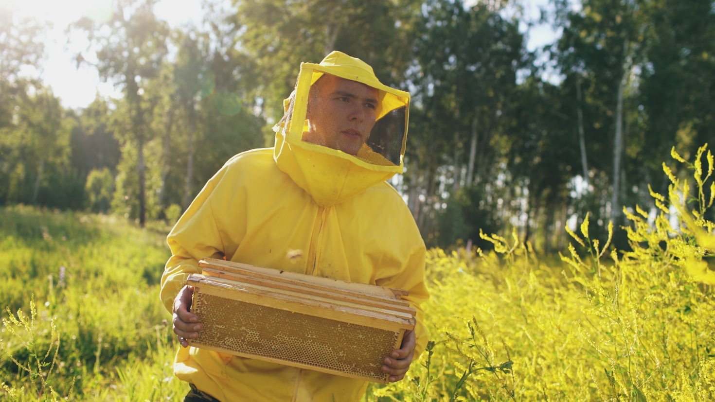 Top Health Benefits of Natural Honey