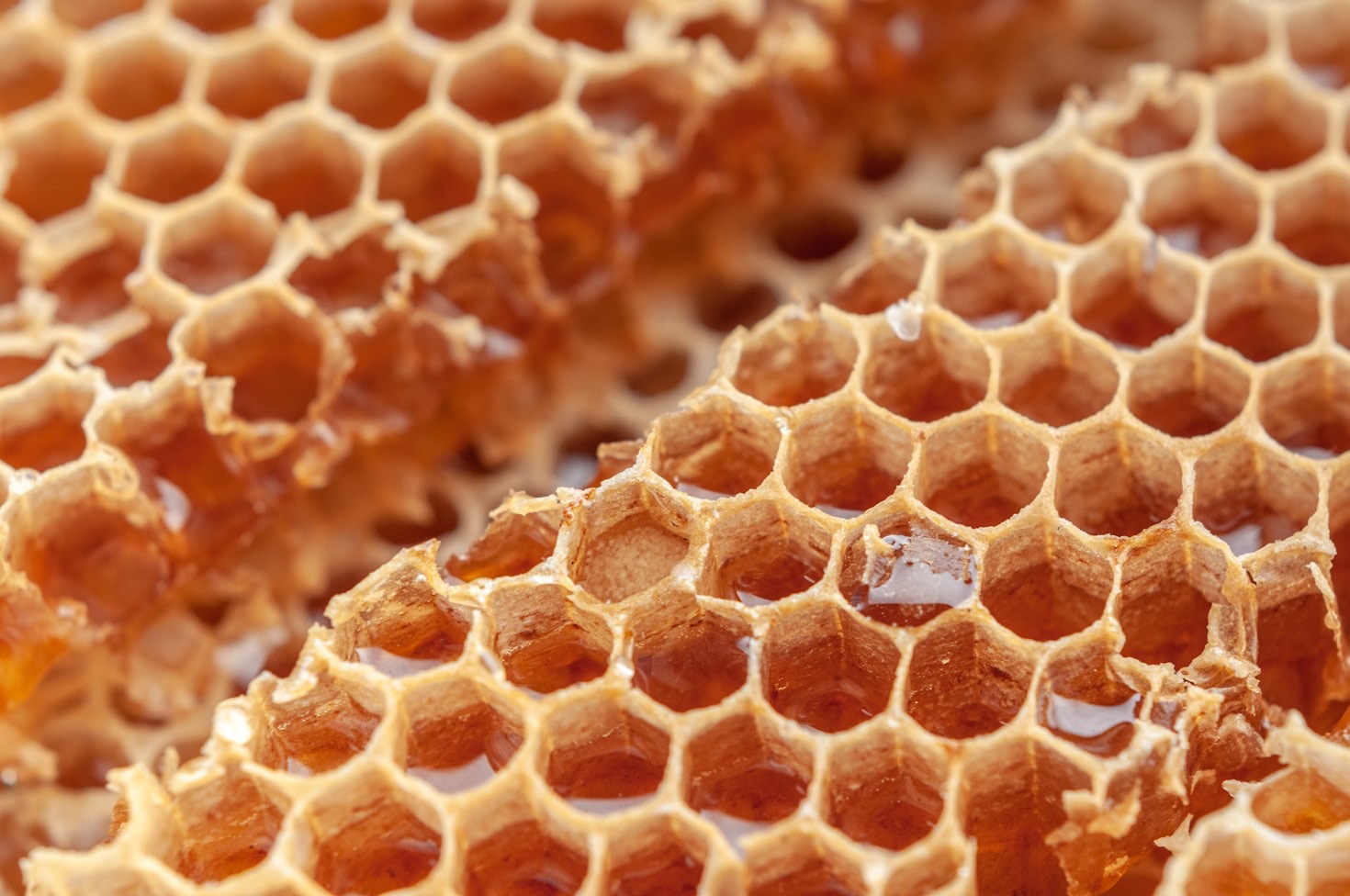 From Hive to Jar: The Journey of Our Honey